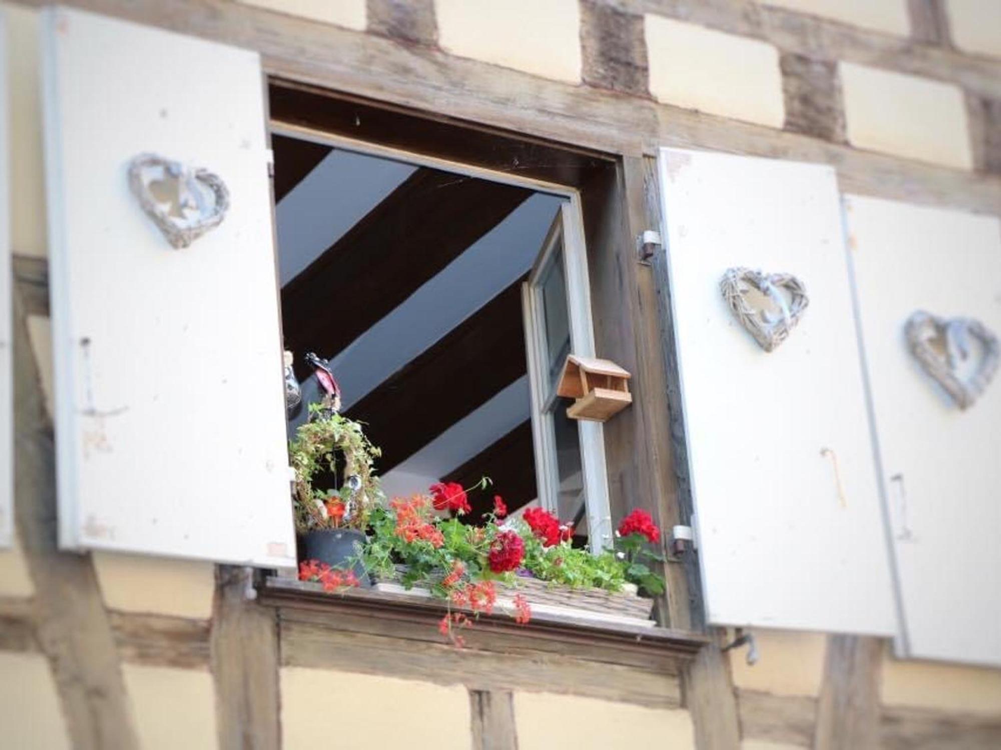 Charmant Appart Avec Garage Et Terrasse Au Coeur De Colmar, Pres De La Route Des Vins D'Alsace - Fr-1-722-6 Zewnętrze zdjęcie
