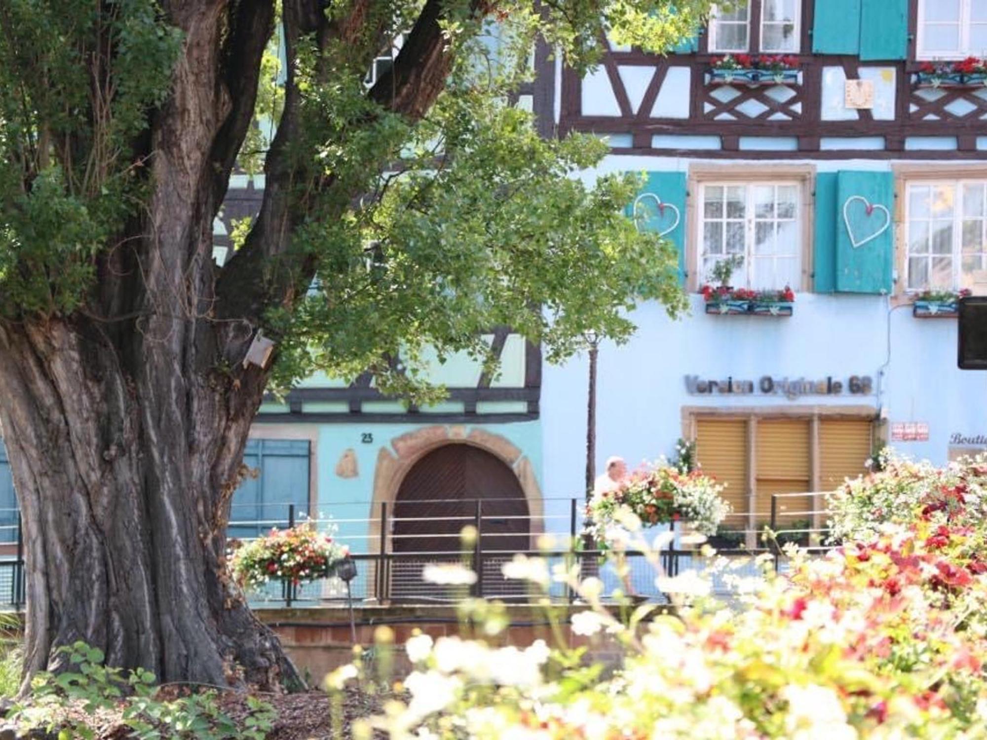 Charmant Appart Avec Garage Et Terrasse Au Coeur De Colmar, Pres De La Route Des Vins D'Alsace - Fr-1-722-6 Zewnętrze zdjęcie